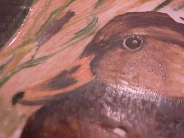 Mallard & Hen, Hand-Painted Porcelain Plate
