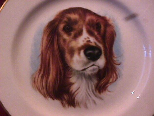 Pickard Fine China (Irish Setter) Dog Art Plate