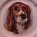 Pickard Fine China (Irish Setter) Dog Art Plate