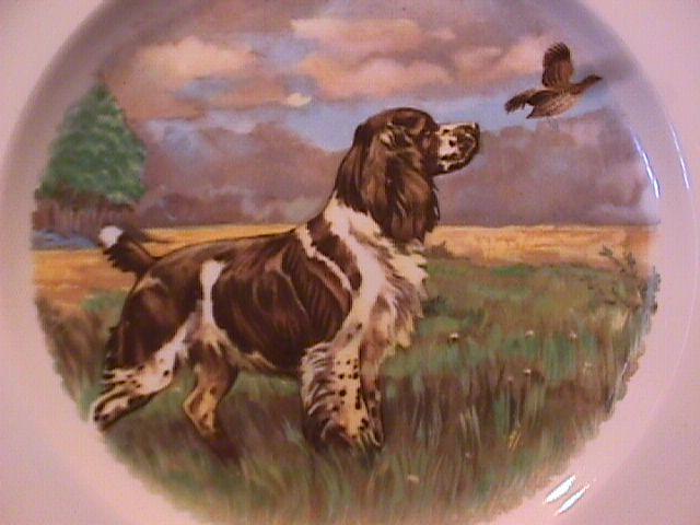 Woods Ivory Ware Fine China (Retriever) Dog Art Plate