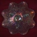 Northwoods Carnival Glass (Poinsettia & Lattice) Bowl-Ice Blue