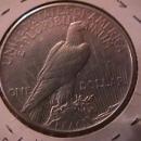 Peace Type Silver Dollar 1921 AU Condition