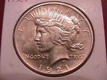 Peace Type Silver Dollar 1921 Mint State 60-63 Condition