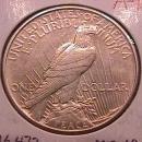 Peace Type Silver Dollar 1921 Mint State 60-63 Condition