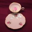Hutschenreuther Fine China (The Dundee) Cup & Saucer