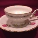 Hutschenreuther Fine China (The Dundee) Cup & Saucer