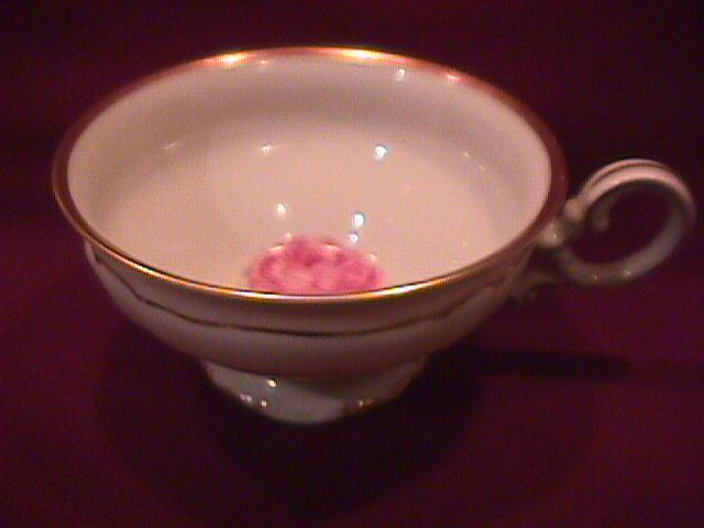 Hutschenreuther Fine China (The Dundee) Cup Only