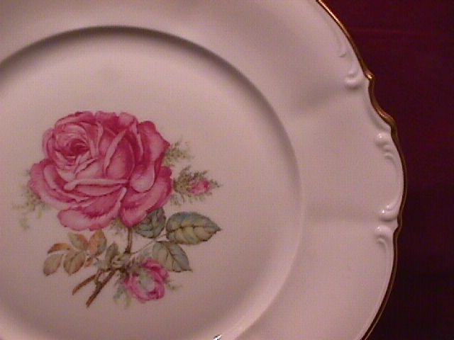 Hutschenreuther Fine China (The Dundee) Creamer