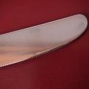 International 1847 Rogers Silverplate (Reflection) Dinner Knife
