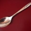 International 1847 Rogers Silverplate (Magic Rose) Place Spoon