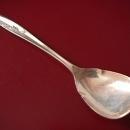 International 1847 Rogers Silverplate (Magic Rose) Sugar Shell