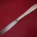 Oneida Community Silverplate (Silver Flowers) Dinner Knife