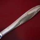 Oneida Community Silverplate (Silver Flowers) Dinner Knife