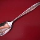 Oneida Community Silverplate (Silver Flowers) Sugar Shell