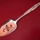 Oneida Community Silverplate (Silver Flowers) Pie/Cake Server
