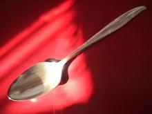 Oneida Community Silverplate (Silver Flowers) Tablespoon