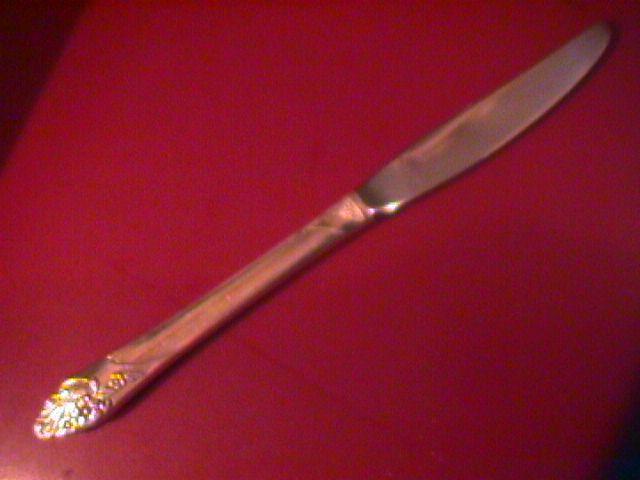 Oneida Community Silverplate (Evening Star) Place Knife