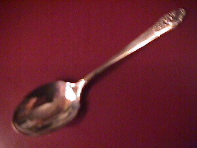 Oneida Community Silverplate (Evening Star) Sugar Shell