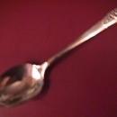 Oneida Community Silverplate (Evening Star) Sugar Shell