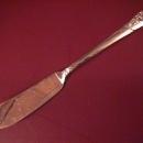 Oneida Community Silverplate (Evening Star) Master Butter Knife