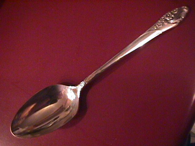 Oneida Community Silverplate (Evening Star) Place Spoon