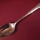 Oneida Community Silverplate (Evening Star) Place Spoon