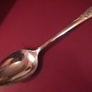 Oneida Community Silverplate