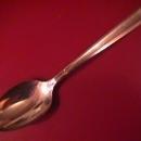 Oneida Silverplate (New Era) 1955 Place Spoon