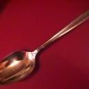 Oneida Silverplate (New Era) 1955 Tablespoon