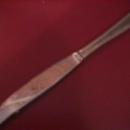 Towle 18-8 Stainless (Beacon Hill) Dinner Knife