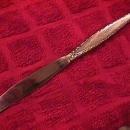 Oneida Community Stainless (Venetia) Dinner Knife