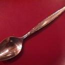 Oneida Community Stainless (Venetia) Teaspoon