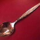 Oneida Community Stainless (Venetia) Sugar Shell