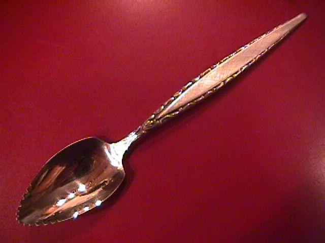 Oneida Community Stainless (Venetia) Fruit Spoon