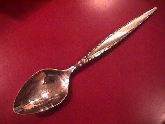 Oneida Community Stainless (Venetia) Tablespoon