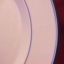 Dansk Fine China (Allegro) Dinner Plate