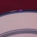 Dansk Fine China (Allegro) Dinner Plate