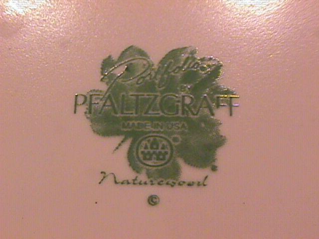Pfaltzgraff (Naturewood) Cup & Saucer