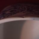 RARE-Wedgwood China (Countryside) Covered Butter Dish