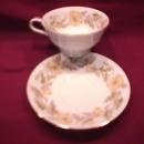Noritake Fine China (Wilshire) #5224 Cup & Saucer