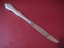 Oneida 1881 Rogers Stainless (Twilight) Dinner Knife