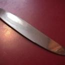 Oneida 1881 Rogers Stainless (Twilight) Dinner Knife