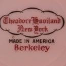 Theodore Haviland (Berkeley) Turkey Platter