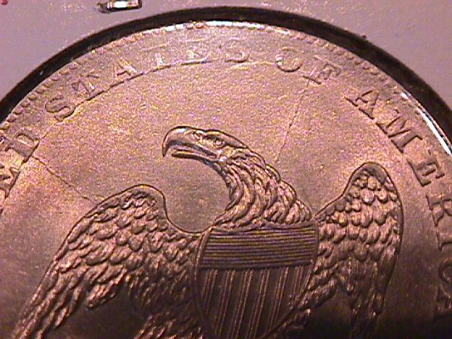 Capped Bust Half Dollar Silver Coin 1837 MS-63