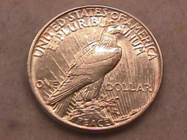 Peace Type Silver Dollar 1921 Uncirculated to Mint State 63 Condition