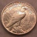 Peace Type Silver Dollar 1921 Uncirculated to Mint State 63 Condition