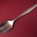 Gorham Stainless (Flower Song) Teaspoon