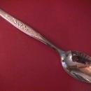 Gorham Stainless (Flower Song) Place Spoon