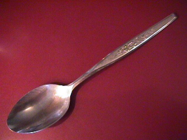 Gorham Stainless (Flower Song) Table Serving Spoon