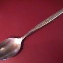 Gorham Stainless (Flower Song) Table Serving Spoon